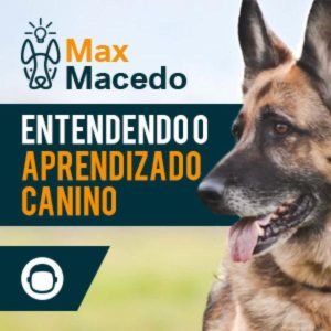 Entendendo o Aprendizado Canino: O Guia Definitivo!