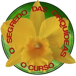 O Segredo das Orquídeas - O Curso