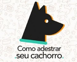 Como Adestrar Seu Cachorro