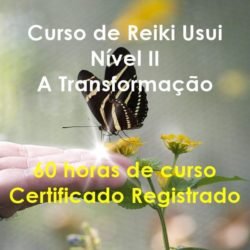 Curso de Reiki Usui Nível II - A Transformação