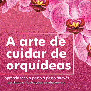 A arte de cuidar de orquídeas