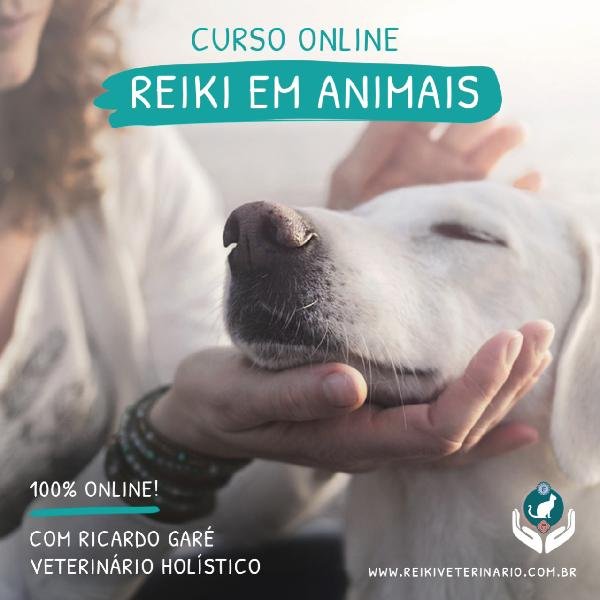 Curso online Reiki em Animais