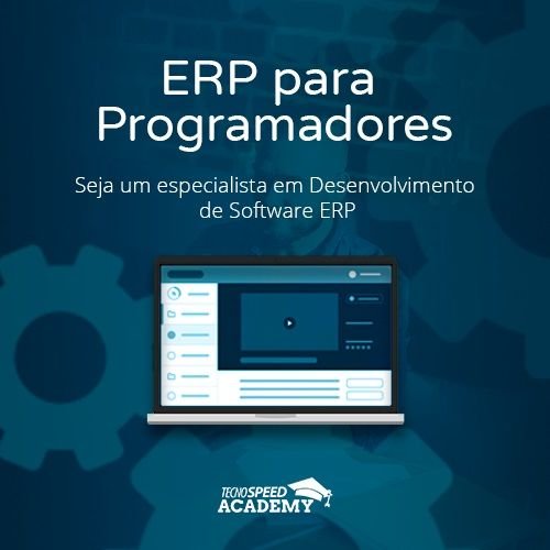 ERP para Programadores