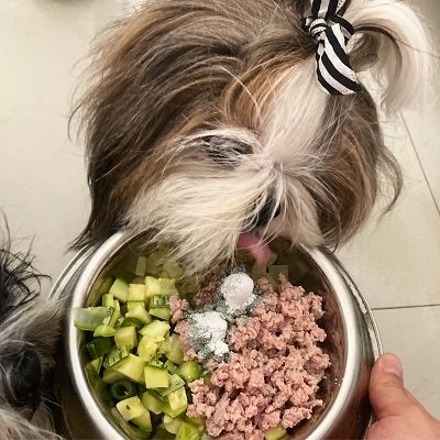 Curso Alimentação Natural Mundo Shih tzu