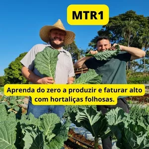 MTR1 - Método Terra Rica para iniciantes