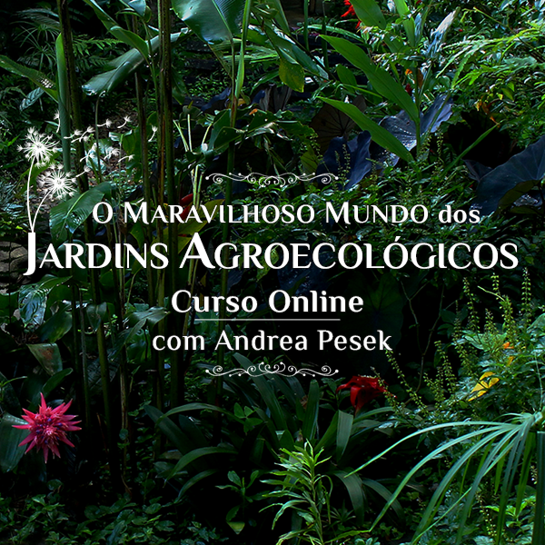 Jardins Agroecológicos por Andrea Pesek