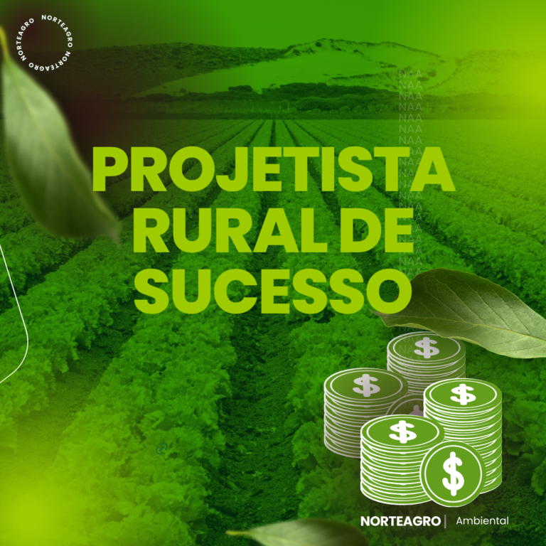 PROJETISTA RURAL DE SUCESSO