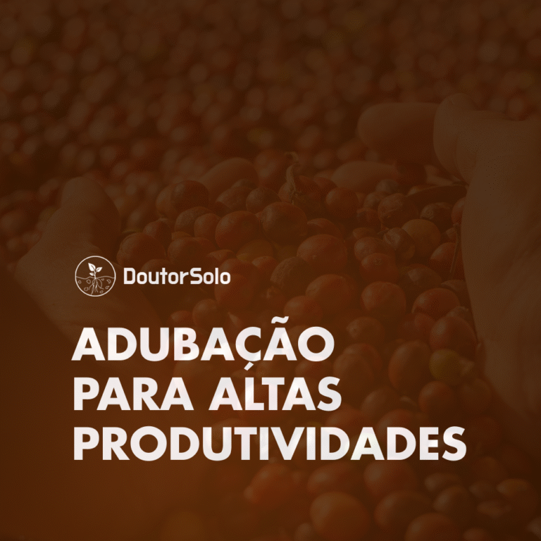 Evolução – Guitarra Gospel do Zero ao Improviso