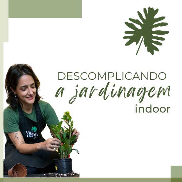 Como o Curso de Alfabetização da Professora Manu Pode Ajudar Seu Filho a Ler e Escrever Mais Rápido?