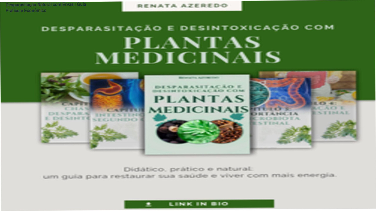Capa do e‑book Desparasitação e Desintoxicação com Plantas Medicinais mostrando receitas naturais para saúde intestinal