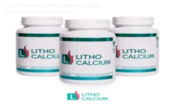 Litho Calcium: Cálcio Orgânico de Algas para Ossos Fortes e Sem Dor