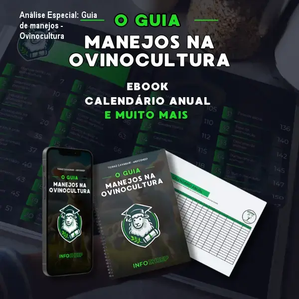 Capa informativa sobre o tema Guia de manejos - Ovinocultura