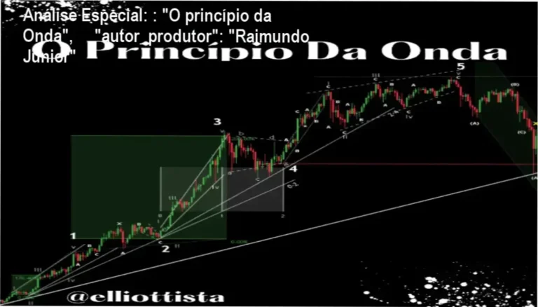Capa informativa sobre o tema : "O princípio da Onda", "autor_produtor": "Raimundo Junior"