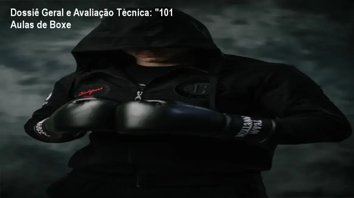 Gráfico de desempenho técnico do ecossistema "101 Aulas de Boxe
