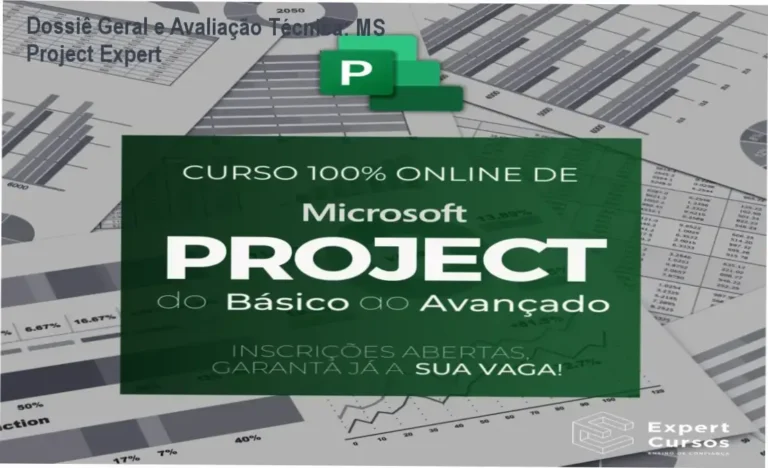 Gráfico de desempenho técnico do ecossistema MS Project Expert