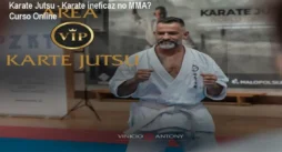 Karate Jutsu - Karate ineficaz no MMA? Curso Online