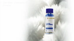 Lion Sleep: Como melhorar o sono e onde comprar