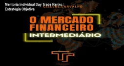 Mentoria Individual Day Trade Renko – Estratégia Objetiva