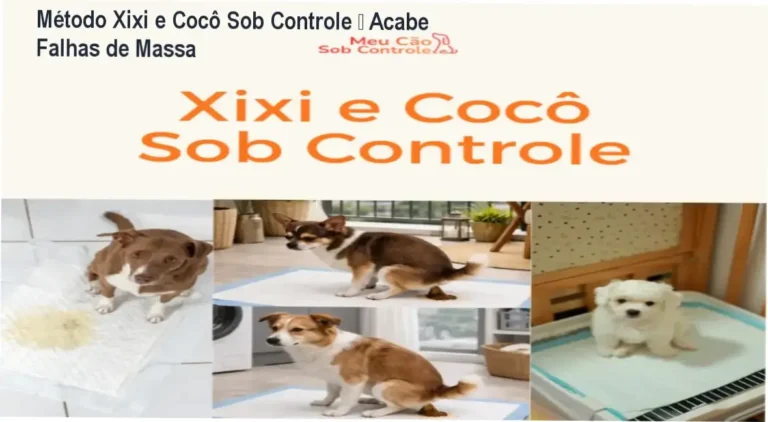 Visual das apostilas digitais do método Xixi e Cocô Sob Controle para produção profissional de salgados em máquinas