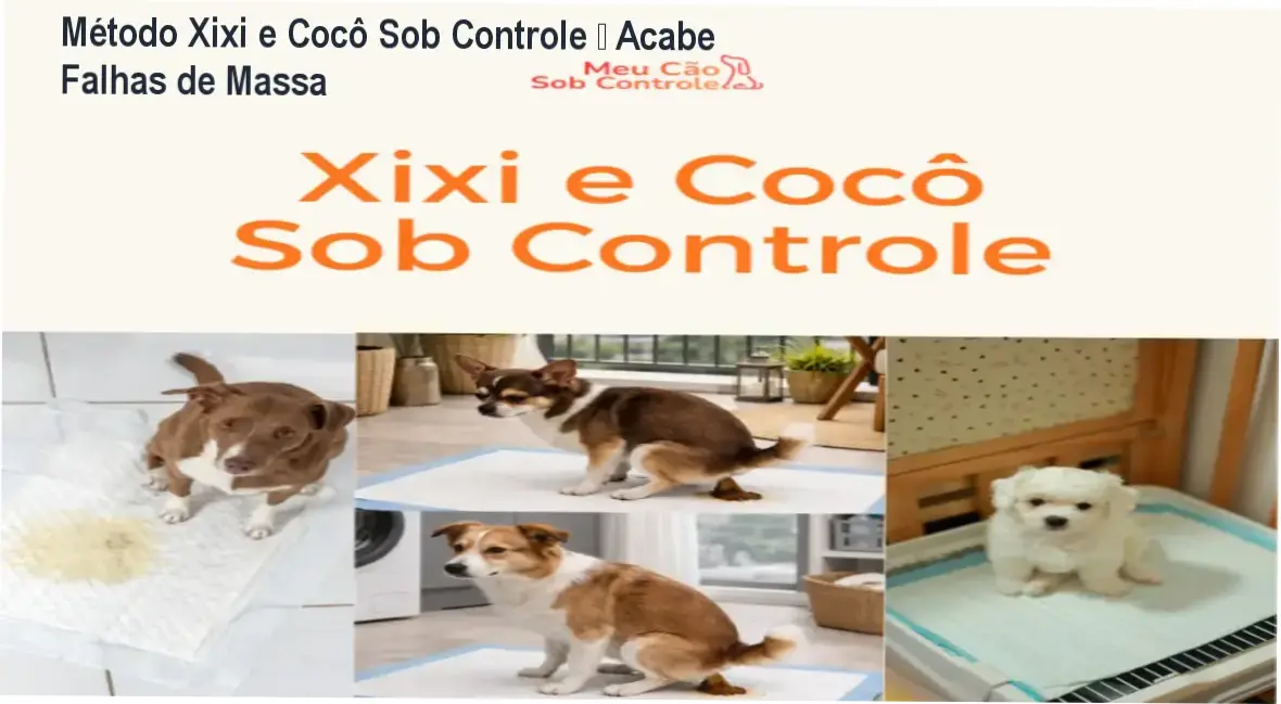 Visual das apostilas digitais do método Xixi e Cocô Sob Controle para produção profissional de salgados em máquinas