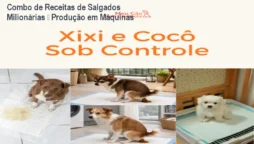 Combo de Receitas de Salgados Milionárias – Produção em Máquinas
