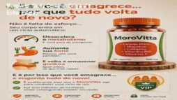 MoroVitta: Onde Comprar Original e Evitar Piratas