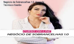 Negócio de Sobrancelhas 1.0: Aprenda Técnica e Gestão