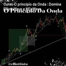 Curso O princípio da Onda – Domine Elliott Wave e NEoWave