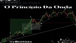 O Princípio da Onda – Curso Avançado de Elliott Wave e NEoWave
