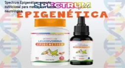 Spectrum Epigenética: suporte nutricional para metilação e saúde neurológica