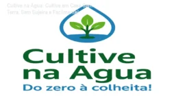 Cultive na Água: Cultive em Casa Sem Terra, Sem Sujeira e Facilmente!