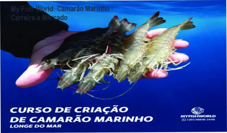 Curso My Fish World – carreira em criação de camarão marinho e aplicação prática