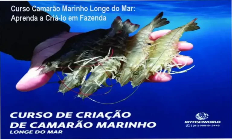 Imagem com destaque do curso de criação de camarão marinho com título e autor