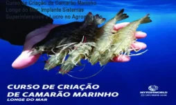 Curso de Criação de Camarão Marinho Longe do Mar: Implante Sistemas Superintensivos e Lucro no Agronegócio