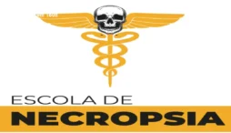 Curso Escola de Necropsia – 6 Profissões em 180h