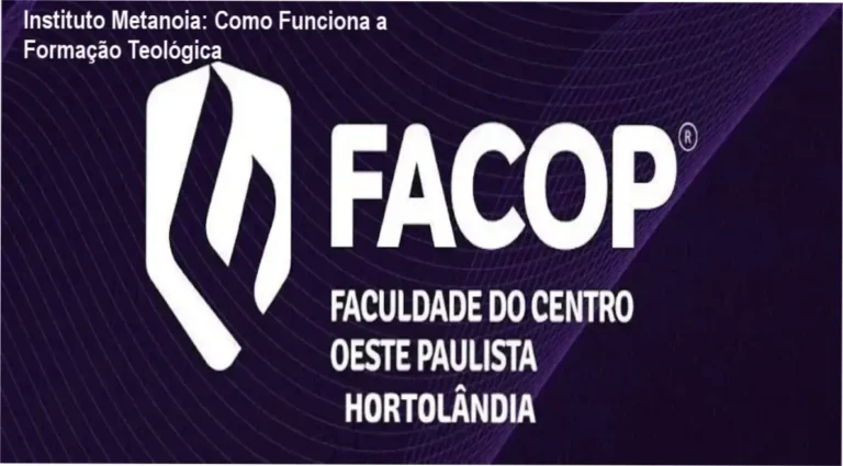 Instituto Missionário METANOIA Formação Teológica bastidores e funcionamento da plataforma online