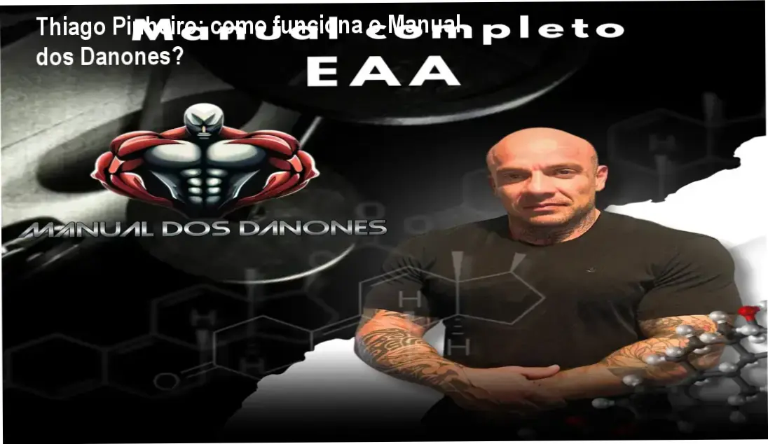 Manual dos Danones Thiago Pinheiro bastidores e funcionamento interno do curso