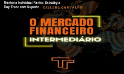 Mentoria Individual Renko: Estratégia Day Trade com Suporte