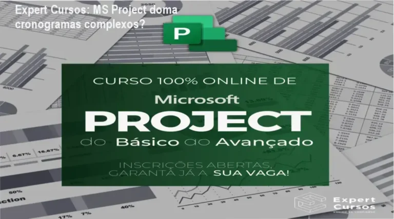 MS Project Expert Expert Cursos bastidores funcionamento visão interna