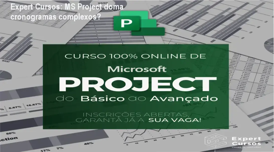 MS Project Expert Expert Cursos bastidores funcionamento visão interna