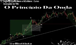 Domine Elliott Wave e NEoWave – Curso Avançado de 18h