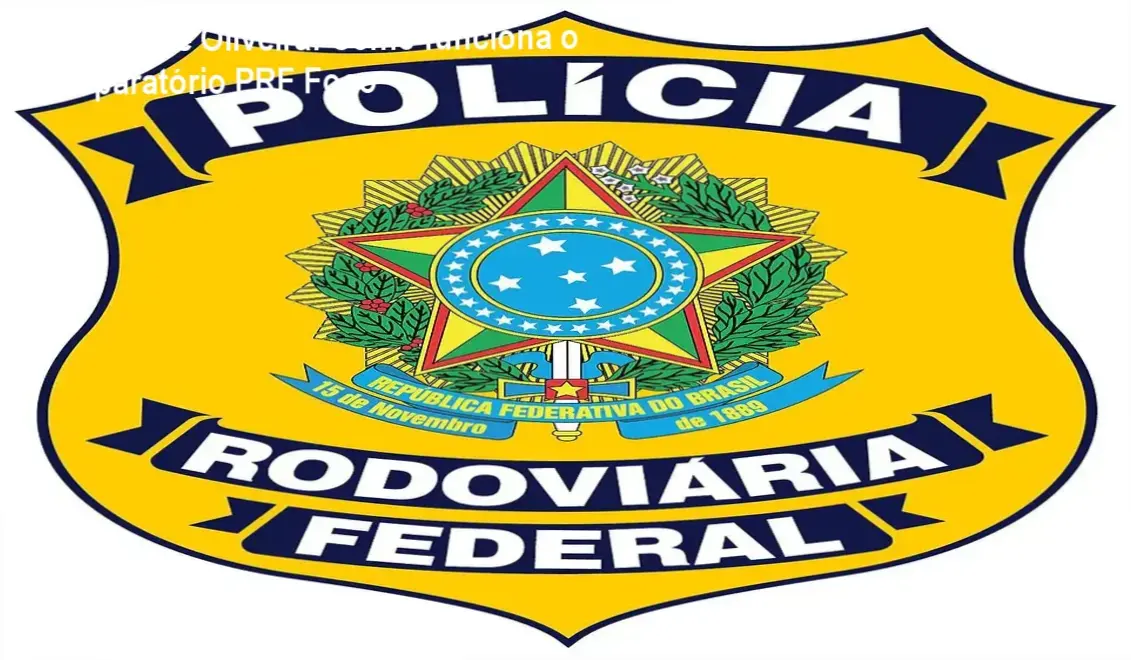 Preparatório PRF Administrativo Foco Alexandre Oliveira bastidores e funcionamento interno