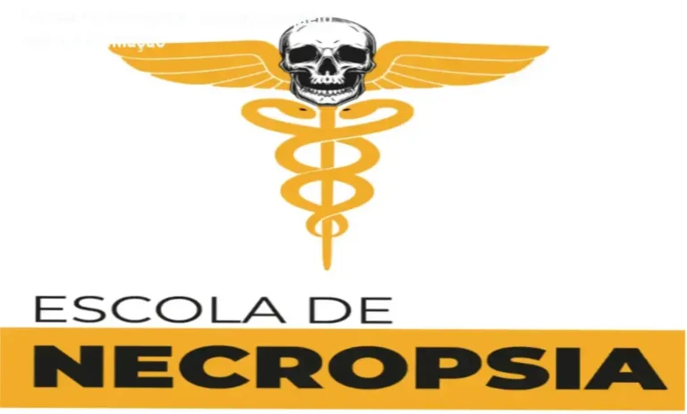 Representação de ambiente de estudos técnicos em ciências mortuárias e medicina legal
