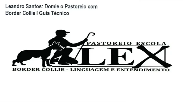 Introdução ao pastoreio com Border Collie por Leandro Santos – bastidores do método exclusivo desenvolvido por um mestre do pastoreio.