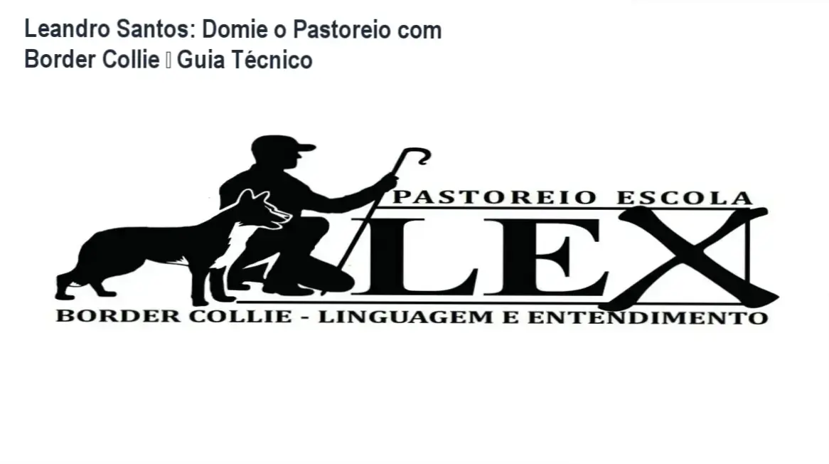 Introdução ao pastoreio com Border Collie por Leandro Santos – bastidores do método exclusivo desenvolvido por um mestre do pastoreio.