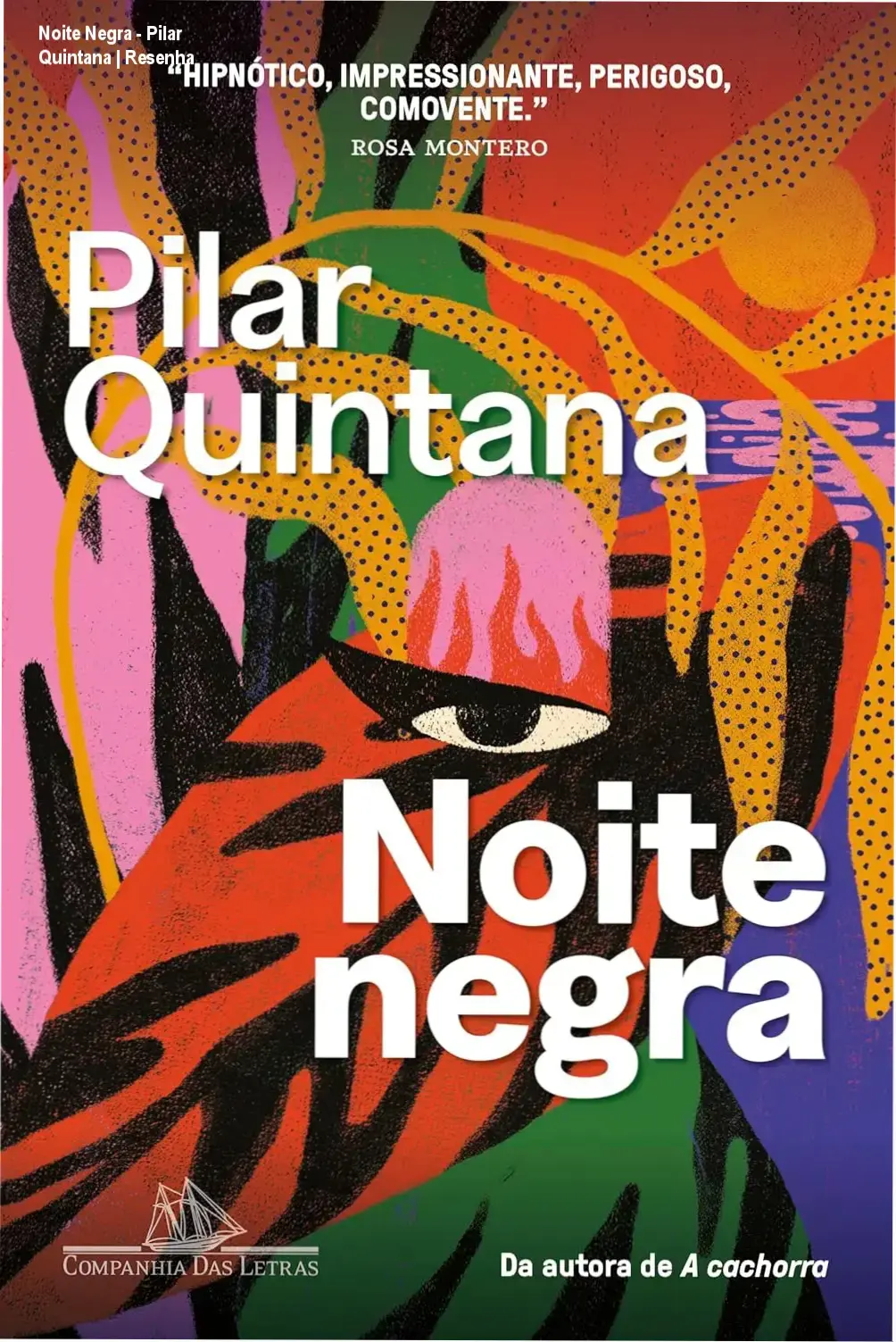 Capa digital de Noite Negra, romance psicológico de Pilar Quintana, ideal para leitores de literatura feminina