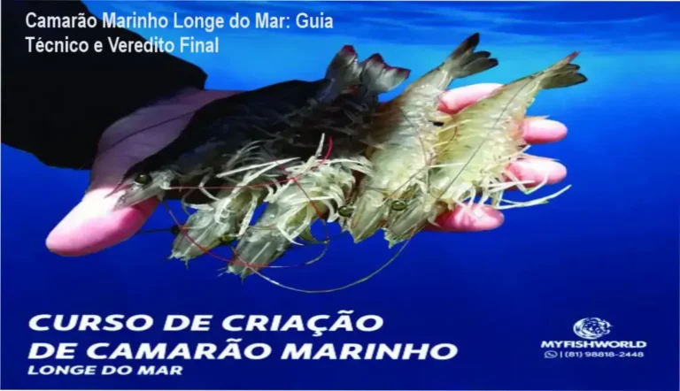 Esquema de sistema superintensivo para criação de camarão marinho em regiões continentais